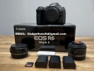 Canon EOS R6 Mark II, Canon EOS R3, Canon EOS R5, Canon R6, Canon  R7, Canon 1D 