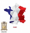 Подготовка за изпит по Френски Език за ДЗИ и Кандидат Студенти от Интер Алианс С