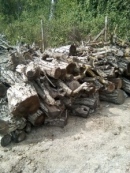 Продавам дърва за огрев от орех и въглища-брикети
