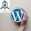   Web   WordPress, .    !