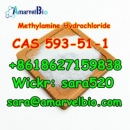 +8618627159838 Methylamine Hydrochloride CAS 593-51-1 Research Chemical with Fas