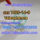 CAS 1009-14-9 Valerophenone Manufacturer Supply with Best Price