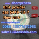 BMK Glycidic Acid (sodium salt)cas no.5449-12-7 99 white powder