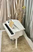 Дигитален роял / Дигитално пиано